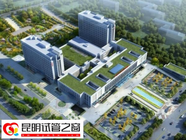 昆明仁大医院生殖中心可以做试管婴儿吗？(图1)