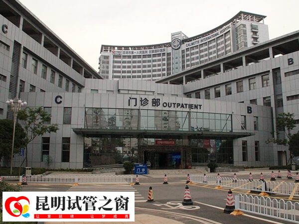 昆明市第一人民医院试管都是移植的双胞胎吗？(图1)